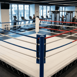 standard boxing ring (4 sizes)