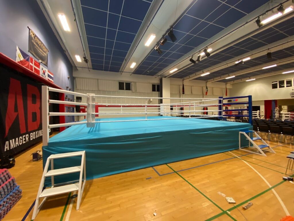 what are professional boxing rings
